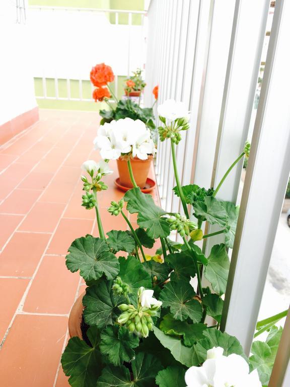Axarquia Apartments Nerja Kültér fotó